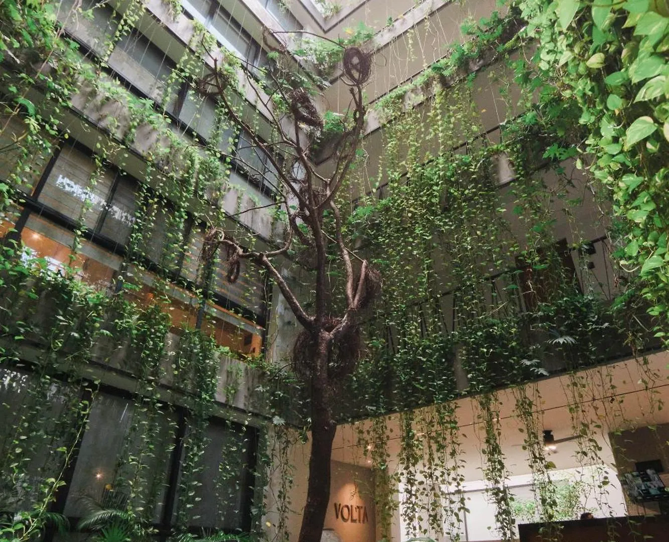 Studio In Volta On 5Th & 5Min Away To Sea 普拉亚卡门 墨西哥