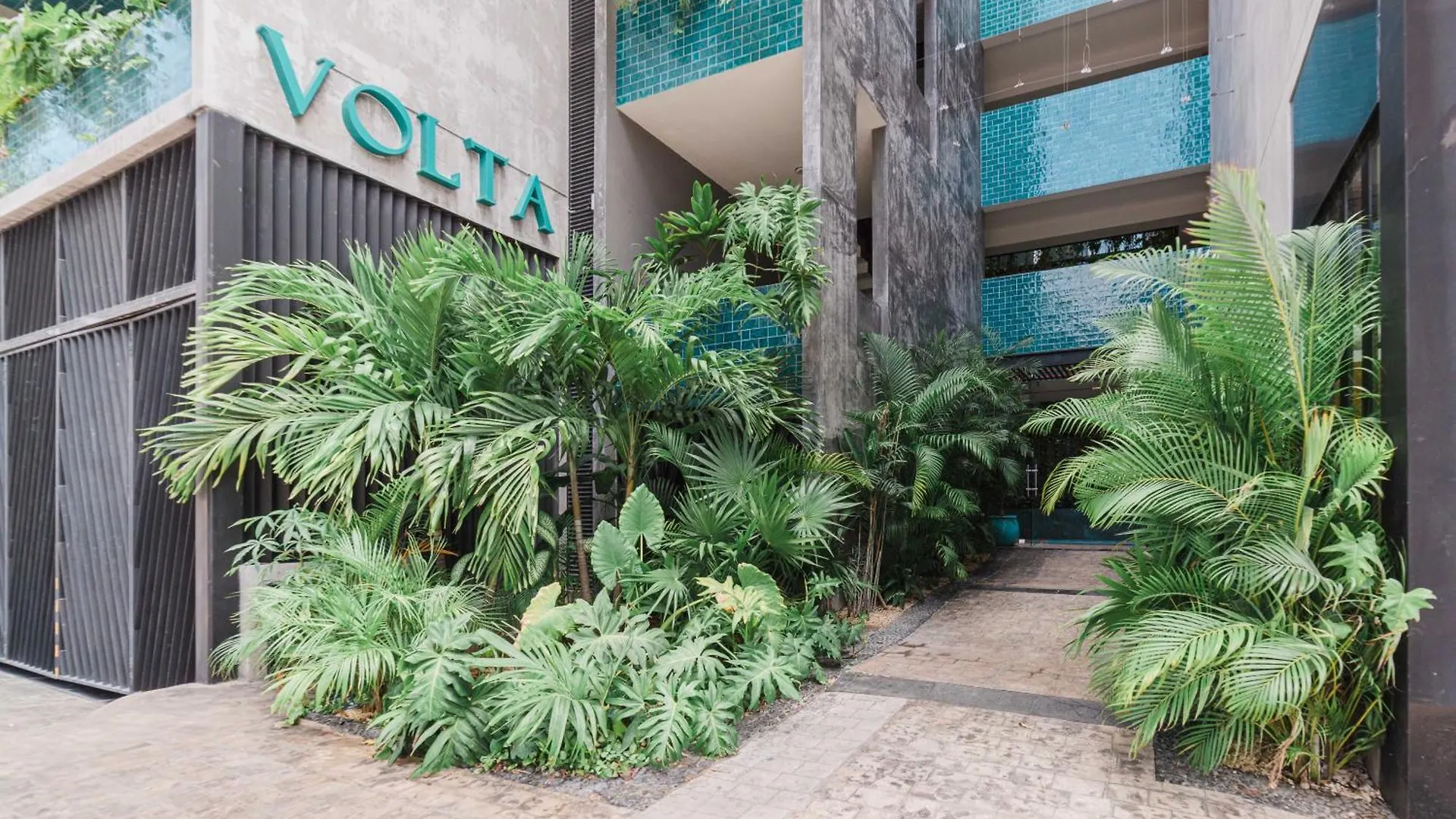 Studio In Volta On 5Th & 5Min Away To Sea Playa del Carmen