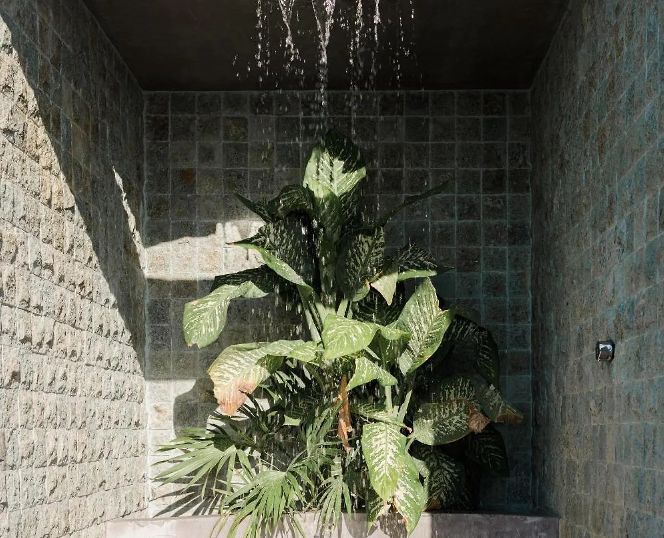 Studio In Volta On 5Th & 5Min Away To Sea Playa del Carmen